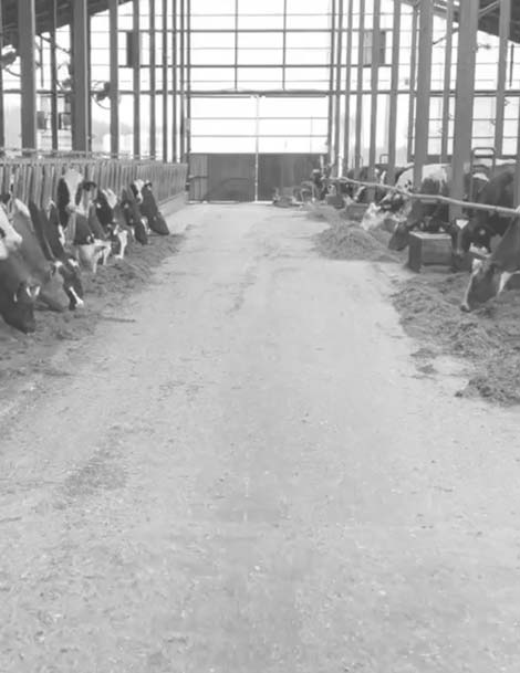 スタッフ画像背景